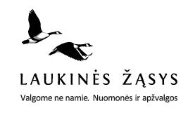 Laukinės žąsys