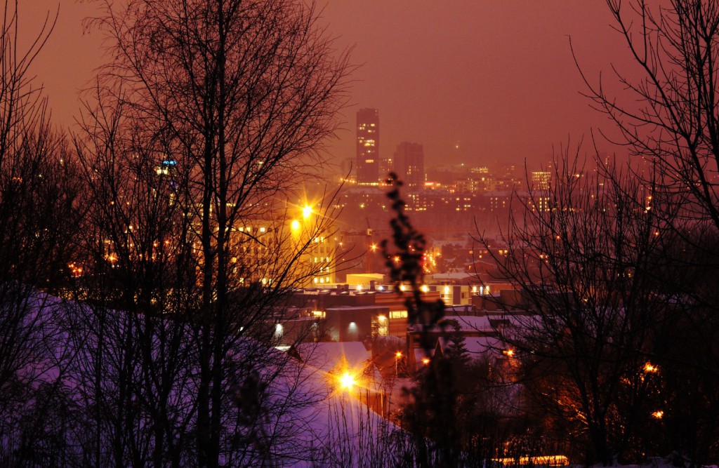 Ir vėl žolė Vilniaus Panoramoje, tik fokusas kitur. Dabar gal ji trukdo net kiek :/