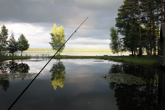 Nakcižibis